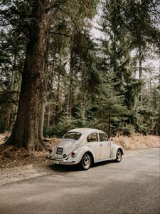 Preview wallpaper car, retro, vintage, forest