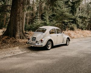 Preview wallpaper car, retro, vintage, forest