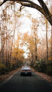 Preview wallpaper car, road, asphalt, trees, autumn