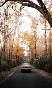 Preview wallpaper car, road, asphalt, trees, autumn