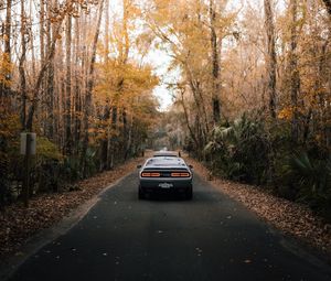 Preview wallpaper car, road, asphalt, trees, autumn