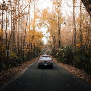 Preview wallpaper car, road, asphalt, trees, autumn