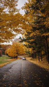 Preview wallpaper car, road, autumn, trees