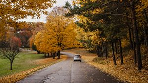 Preview wallpaper car, road, autumn, trees