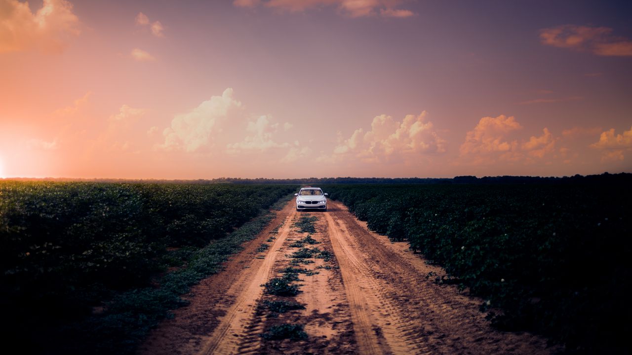 Wallpaper car, road, field, sky