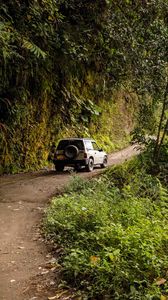 Preview wallpaper car, road, rock, bushes
