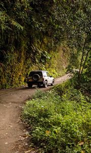 Preview wallpaper car, road, rock, bushes
