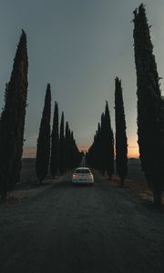 Preview wallpaper car, road, trees, alley, twilight