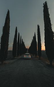 Preview wallpaper car, road, trees, alley, twilight