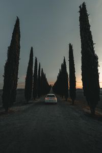 Preview wallpaper car, road, trees, alley, twilight