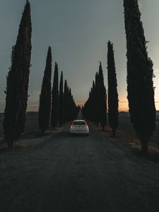 Preview wallpaper car, road, trees, alley, twilight