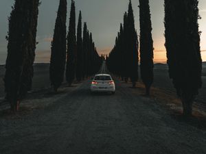 Preview wallpaper car, road, trees, alley, twilight