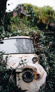 Preview wallpaper car, rust, ruins, bushes