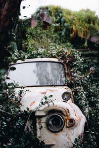 Preview wallpaper car, rust, ruins, bushes