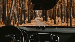 Preview wallpaper car, salon, view, road, forest