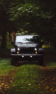 Preview wallpaper car, suv, front view, grass