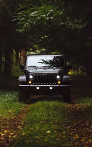 Preview wallpaper car, suv, front view, grass