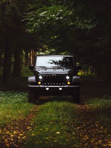 Preview wallpaper car, suv, front view, grass
