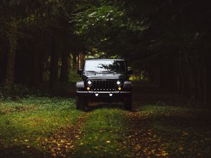 Preview wallpaper car, suv, front view, grass