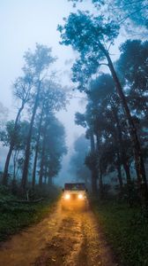 Preview wallpaper car, suv, road, forest, fog