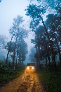 Preview wallpaper car, suv, road, forest, fog