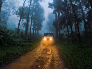 Preview wallpaper car, suv, road, forest, fog