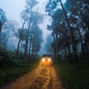 Preview wallpaper car, suv, road, forest, fog