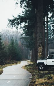 Preview wallpaper car, suv, white, road, forest