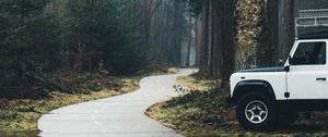 Preview wallpaper car, suv, white, road, forest