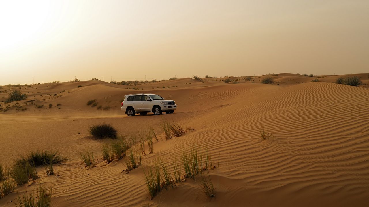 Wallpaper car, suv, white, desert, sand