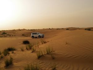 Preview wallpaper car, suv, white, desert, sand