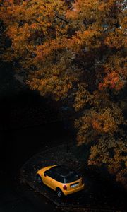 Preview wallpaper car, tree, autumn, yellow