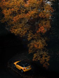 Preview wallpaper car, tree, autumn, yellow
