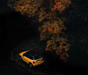 Preview wallpaper car, tree, autumn, yellow