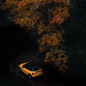 Preview wallpaper car, tree, autumn, yellow