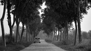 Preview wallpaper car, trees, bw, road