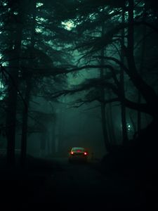 Preview wallpaper car, trees, fog, gloom, blur, dark