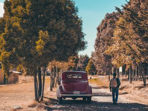 Preview wallpaper car, trees, rear view