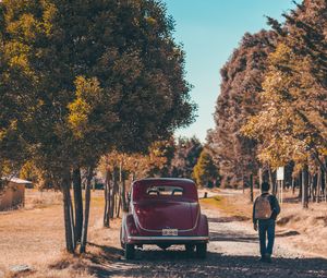 Preview wallpaper car, trees, rear view