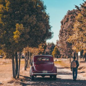 Preview wallpaper car, trees, rear view