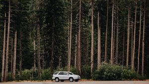 Preview wallpaper car, trees, side view