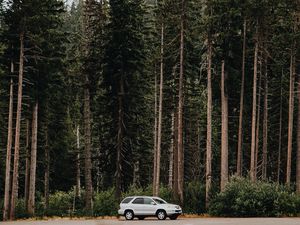 Preview wallpaper car, trees, side view