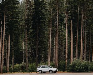 Preview wallpaper car, trees, side view