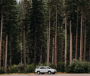 Preview wallpaper car, trees, side view