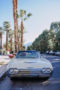 Preview wallpaper car, white, retro, road, palm trees