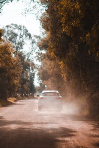 Preview wallpaper car, white, road, dust