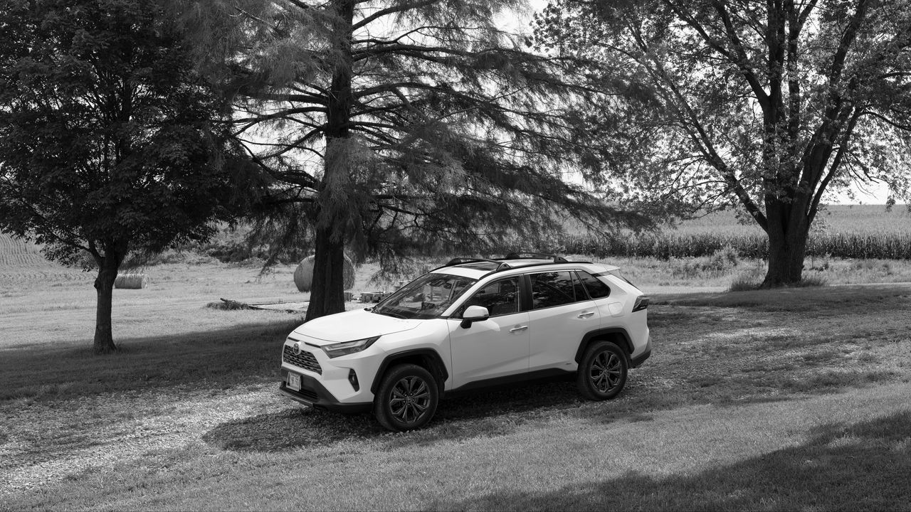 Wallpaper car, white, suv, tree, bw