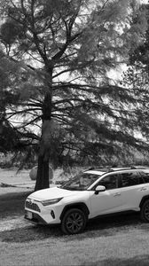 Preview wallpaper car, white, suv, tree, bw