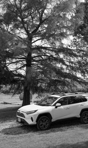 Preview wallpaper car, white, suv, tree, bw