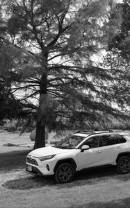 Preview wallpaper car, white, suv, tree, bw